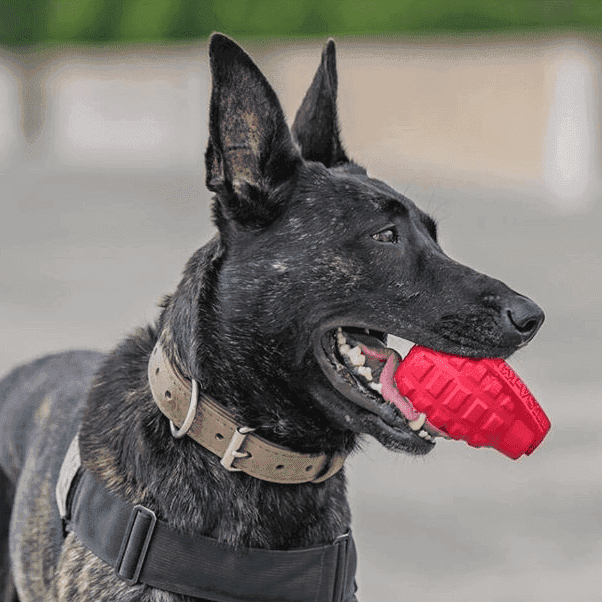 USA-K9 Grenade eDispenser Durable Rubber Chew Toy & Treat Dispenser - red - Skoutley Outdoors LLC