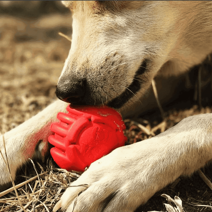 USA-K9 Stars and Stripes Ultra-Durable Rubber Chew Ball - Skoutley Outdoors LLC