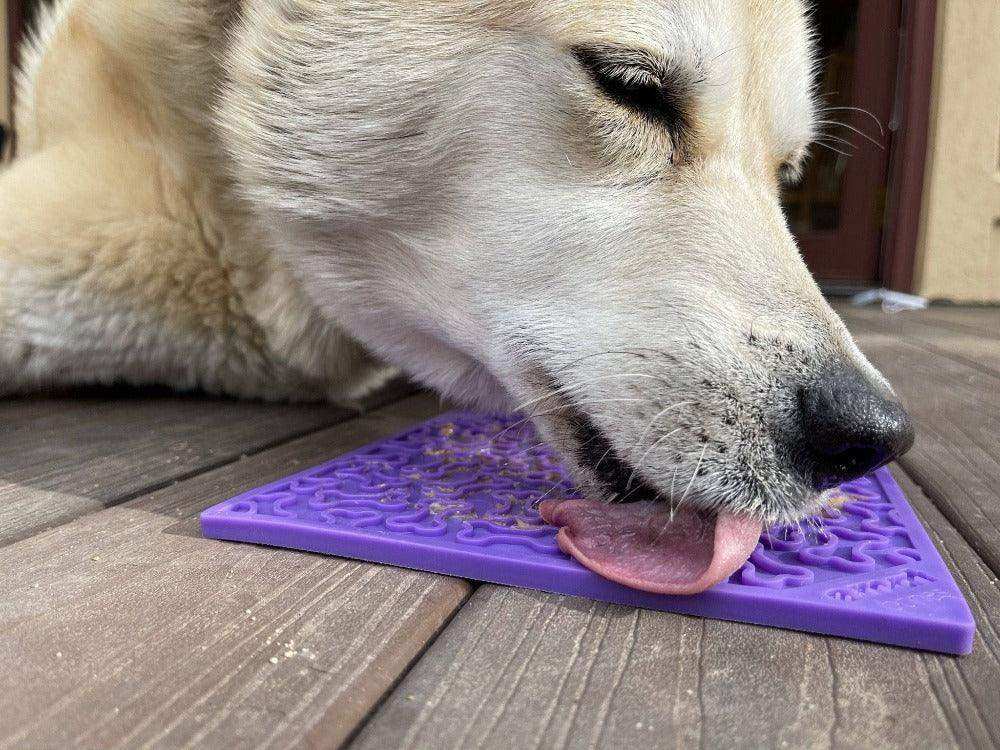 Bones Design eMat Enrichment Lick Mat - Skoutley Outdoors LLC