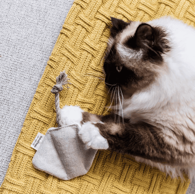 Stingray Cat Toy in Cotton with Buckwheat for Crinkles and Organic Catnip - Skoutley Outdoors LLC