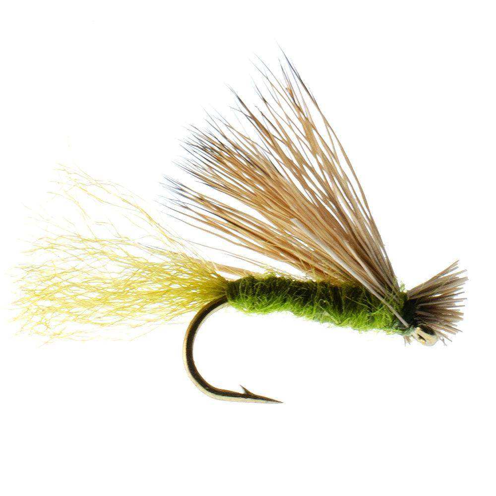 3 Pack Olive X Caddis Emerging Caddis Adult Trout Dry Fly - Hook Size 18 - Skoutley Outdoors LLC